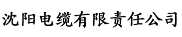 91版香蕉视频电缆厂logo